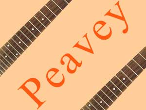 Peavey brand explorer