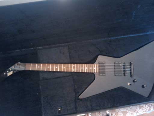 ESP Custom