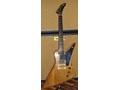 1980s E2 Gibson Explorer